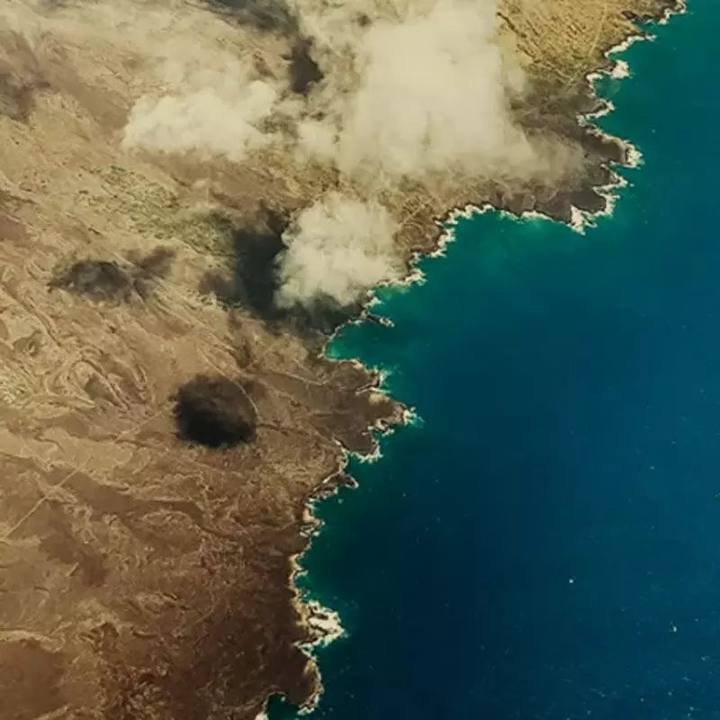 Capteur multispectral RedEdge-P Dual pour drone DJI Matrice 300 RTK - Micasense