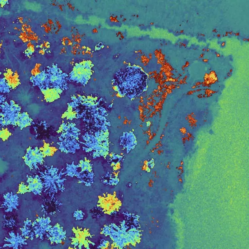 Capteur multispectral RedEdge-P Dual pour drone DJI Matrice 300 RTK - Micasense