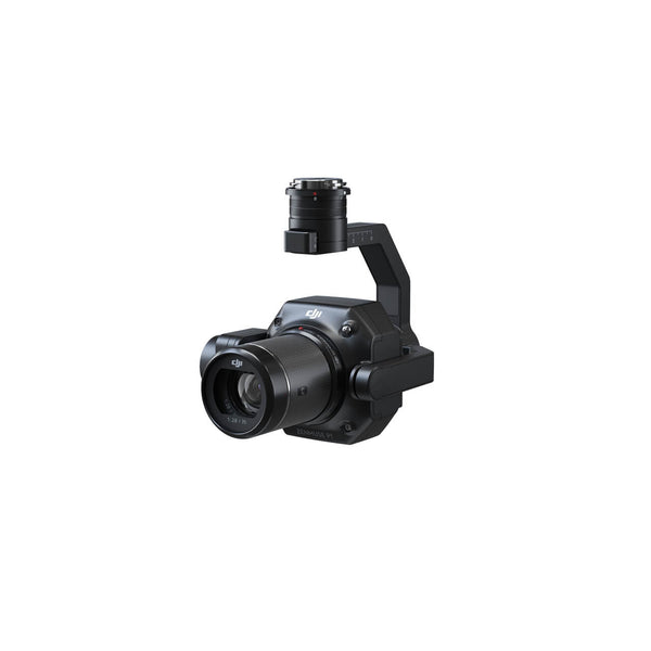 DJI Zenmuse P1 — vue 1